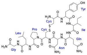 oxytocin molecule diagram