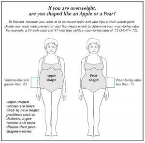 Diagram comparing apple and pear body shapes in women