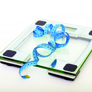 Book Review – Why We Get Fat why we get fat