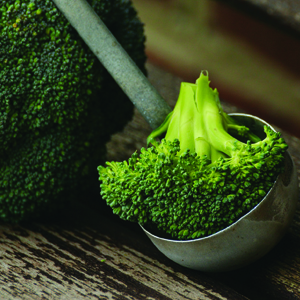 Broccoli and Hormone Balance broccoli and hormone balance