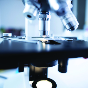 Can Testosterone Protect Against Breast Cancer can testosterone protect against breast cancer