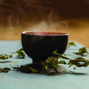 green tea for oral health