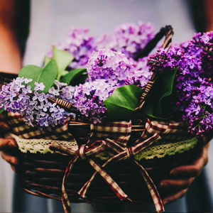 PCOS and Hormones pcos and hormones